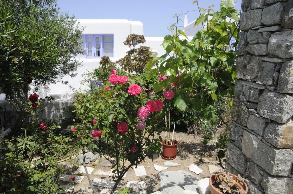 Andriani'S Guest House Mykonos Town Esterno foto